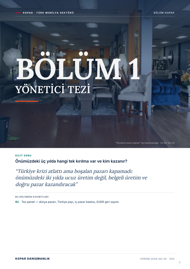 Sayfa 3 — Bölüm 1 kapağı, Yönetici Tezi.