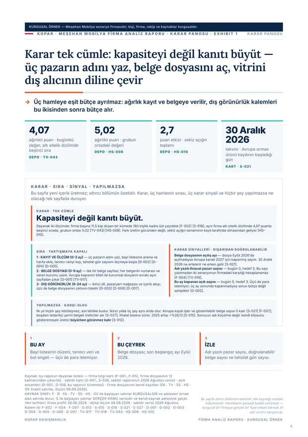 Firma analiz raporu — Karar panosu · altı alanın durumu