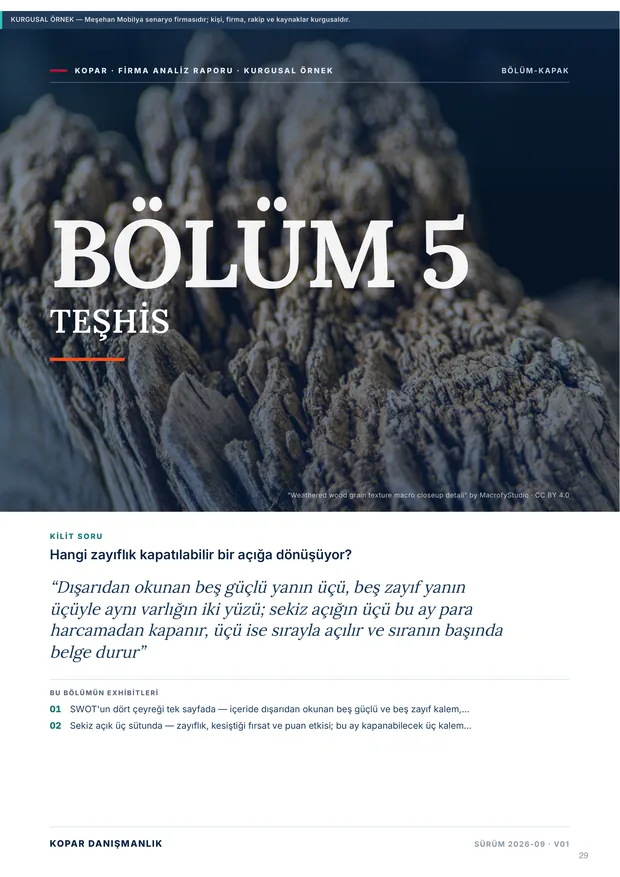 Firma analiz raporu — Bölüm 5 — Teşhis