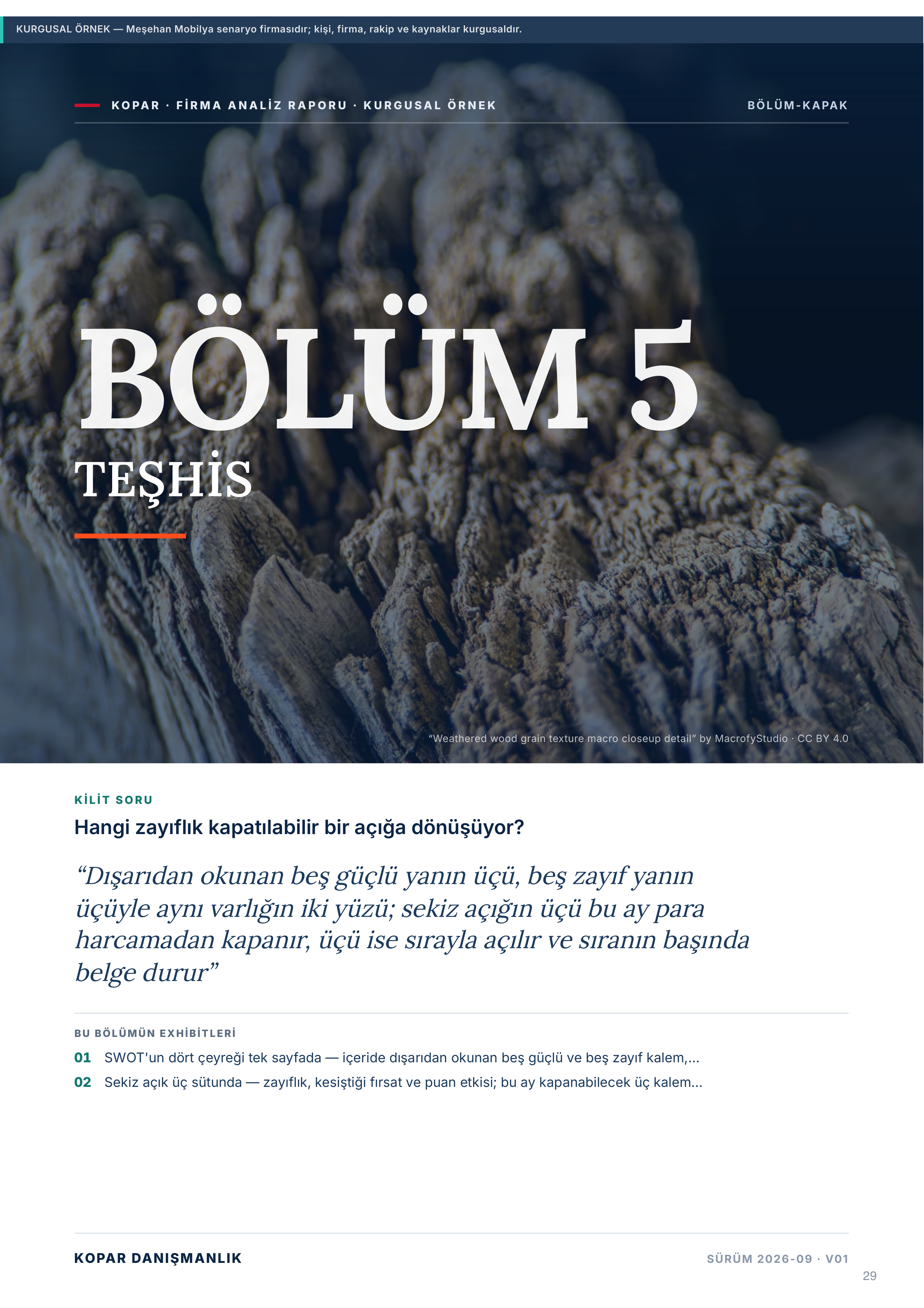 Sayfa 29 — bölüm 5 kapağı, TEŞHİS.