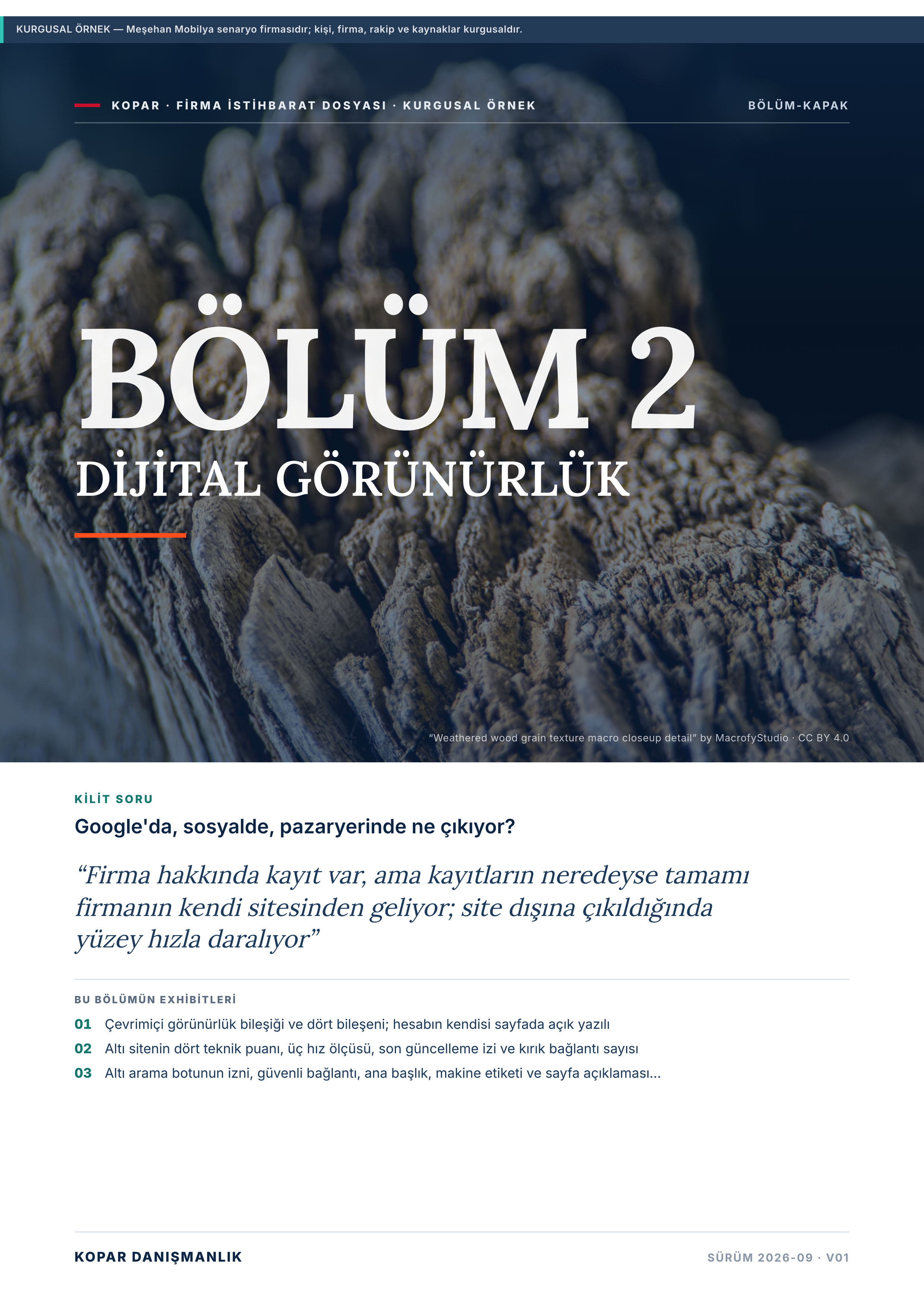 Sayfa 11 — bölüm 2 kapağı, DİJİTAL GÖRÜNÜRLÜK.
