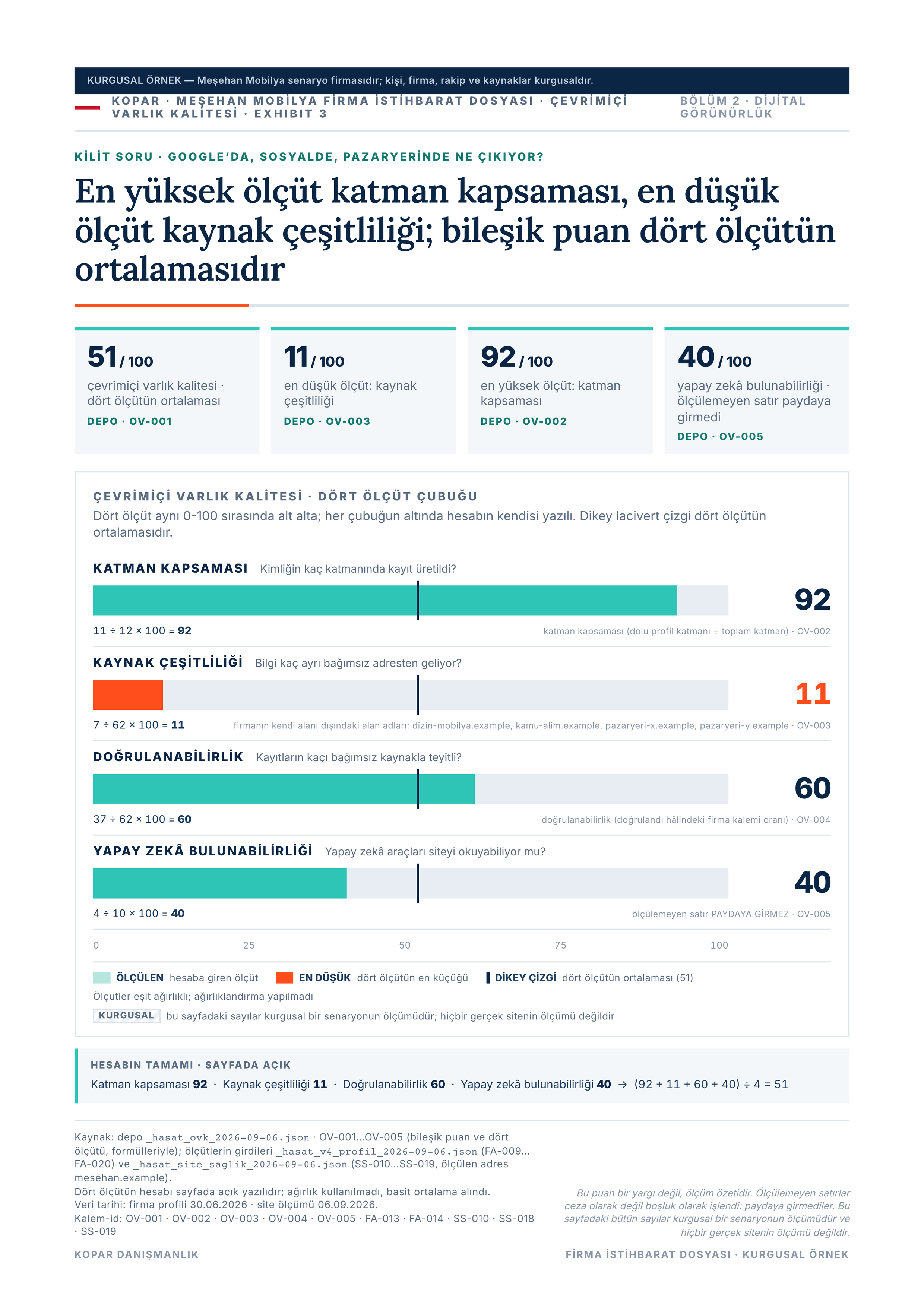 Sayfa 13 — çevrimiçi varlık kalitesi, bileşik puan.