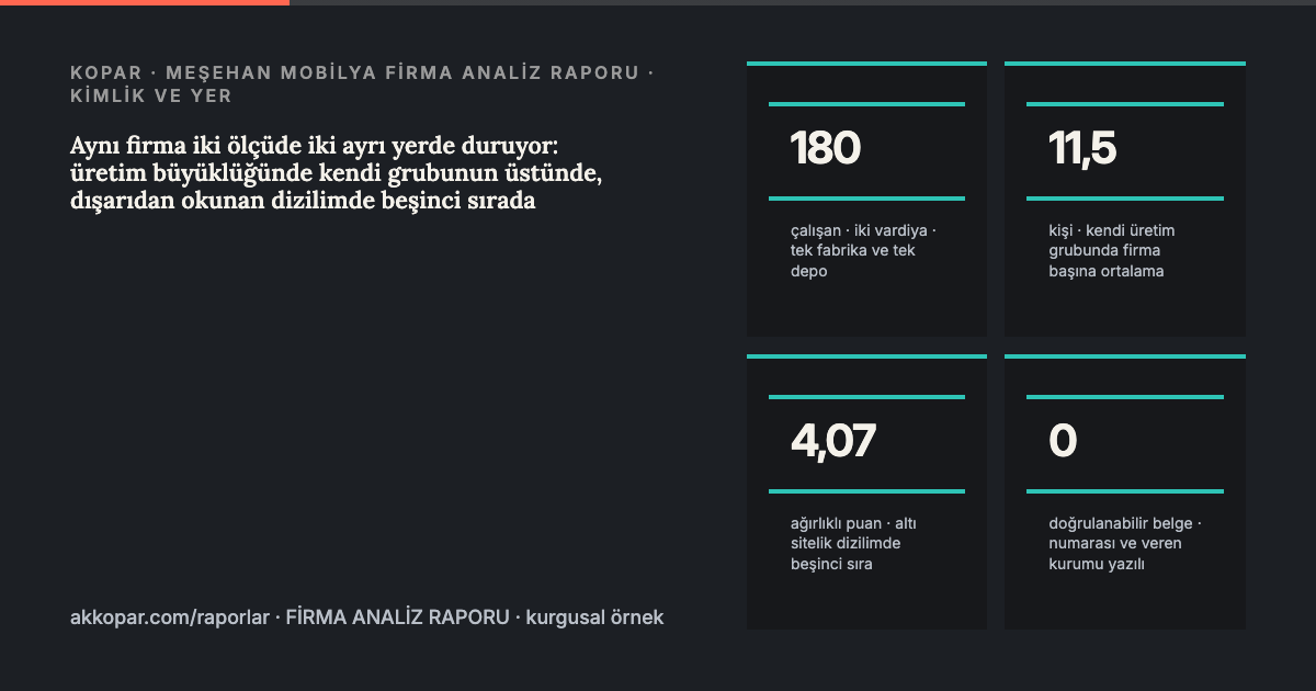 Firma analiz raporundan bir exhibit: kimlik ve yer künyesi, dört hane.