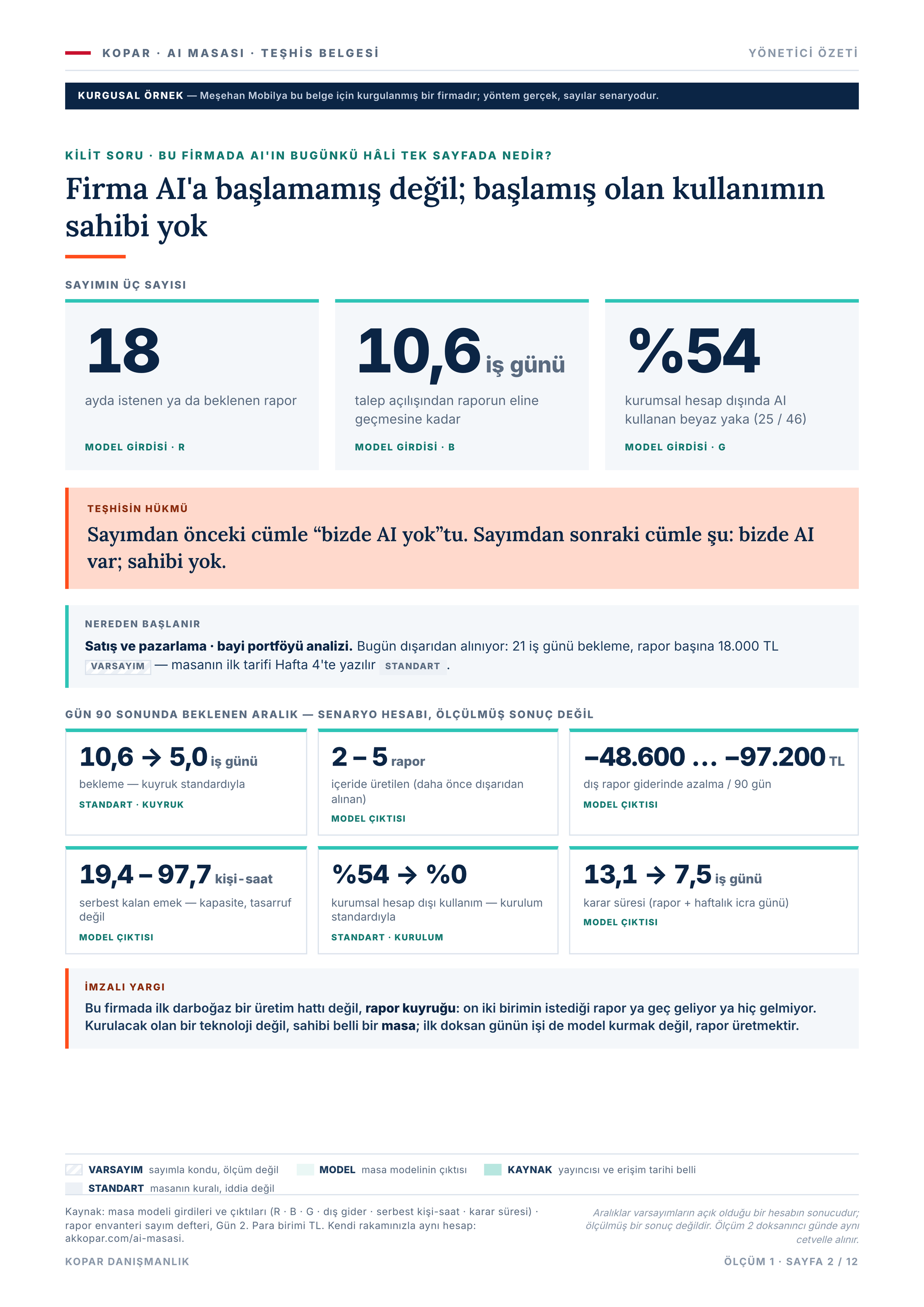 Sayfa 2 — yönetici özeti.